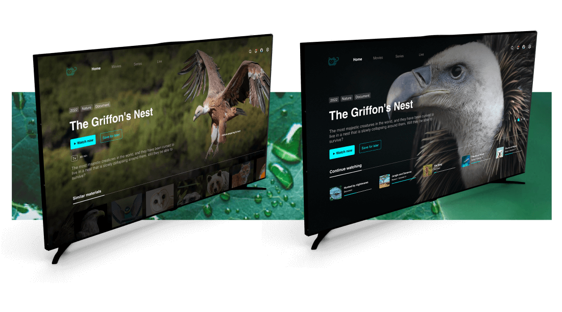 Ott Streaming Platform