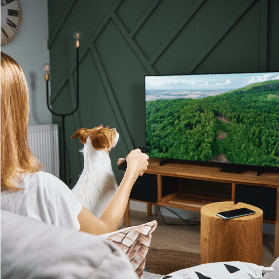 ott-streaming-platform-for-set-top-boxes-and-smart-tvs-spyrosoft-bsg